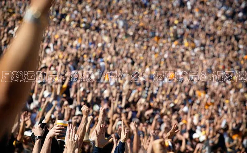 头号玩家唯一官网官方版百度翻译App