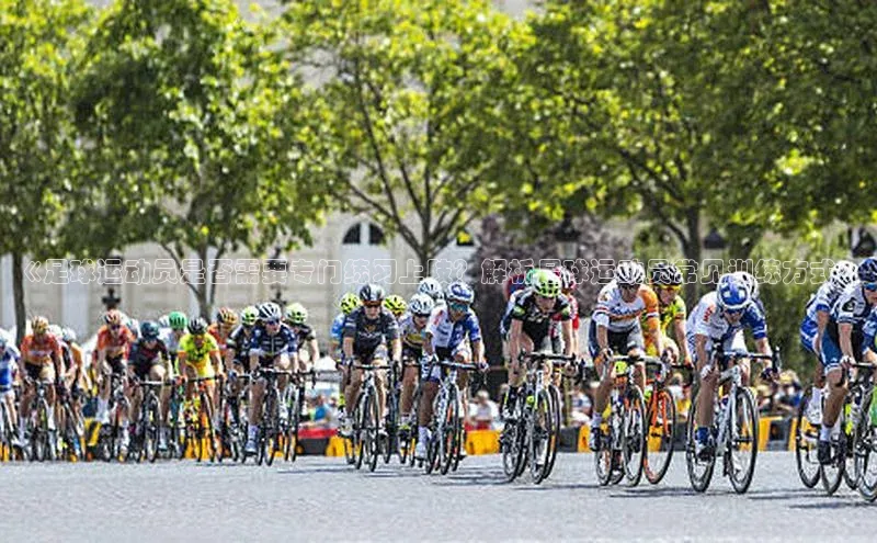 龙8官网正版百度网盘