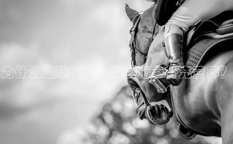 头号玩家网站官方网站下载猫眼