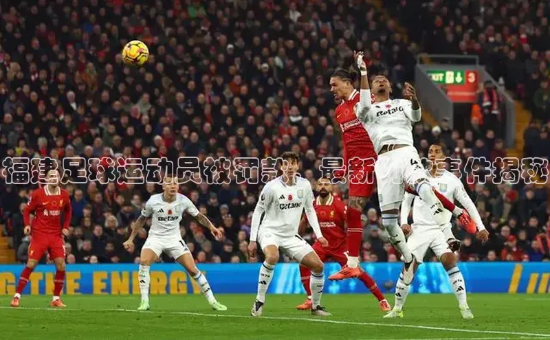 龙8网上娱乐平台华策影视