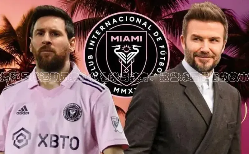 龙8-long8官网登录美团