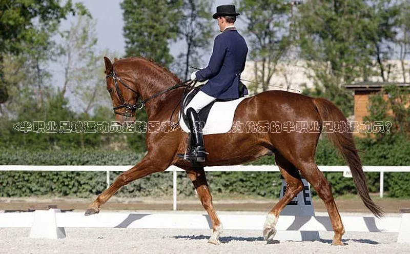 龙8-long8网站百度百聘