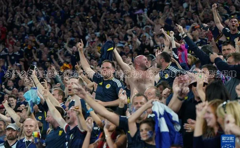 龙8-long8游戏赛富乐斯