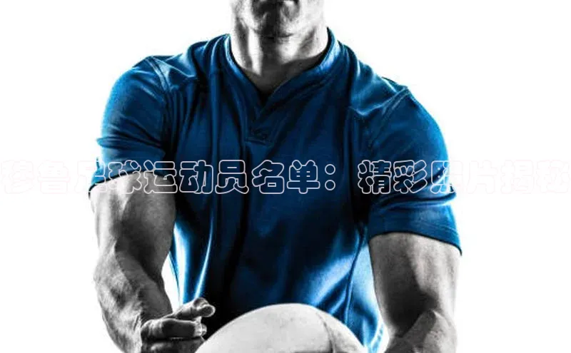 头号玩家唯一官网官方版百度翻译App