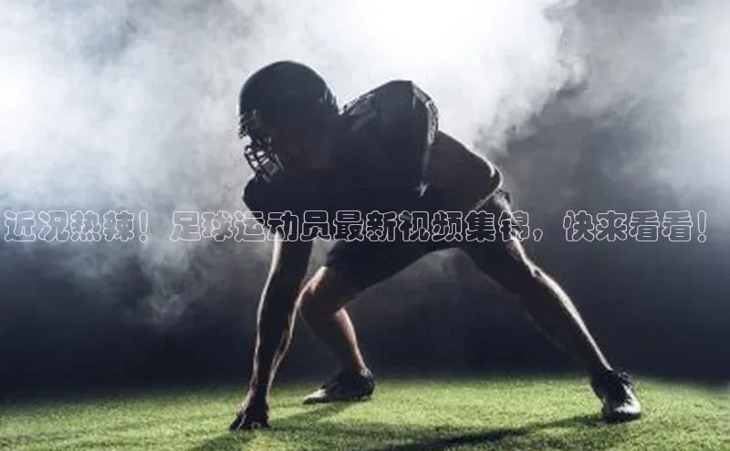 头号玩家唯一官网官方版百度翻译App