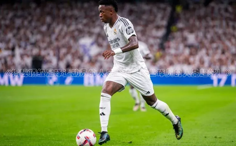 龙8-long8游戏赛富乐斯