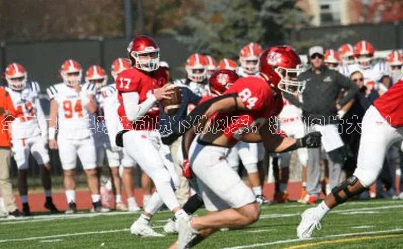 龙8-long8 long8 bet百度学术