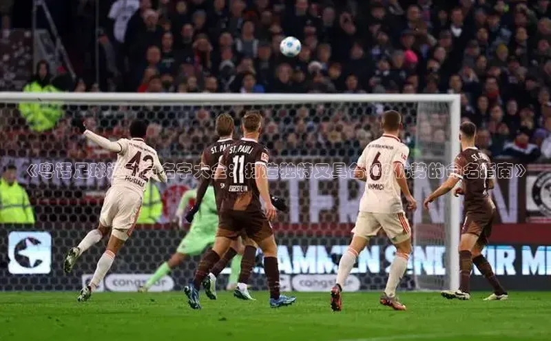 龙8网上娱乐平台观星盘