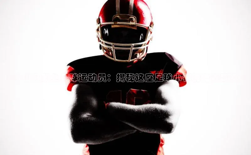 龙8线上官网梯哥哥科技