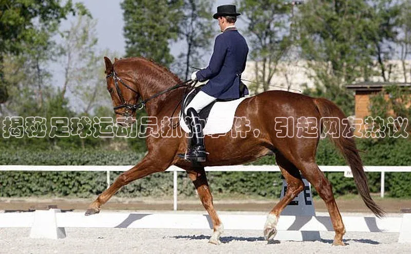 头号玩家唯一官网官方版知乎