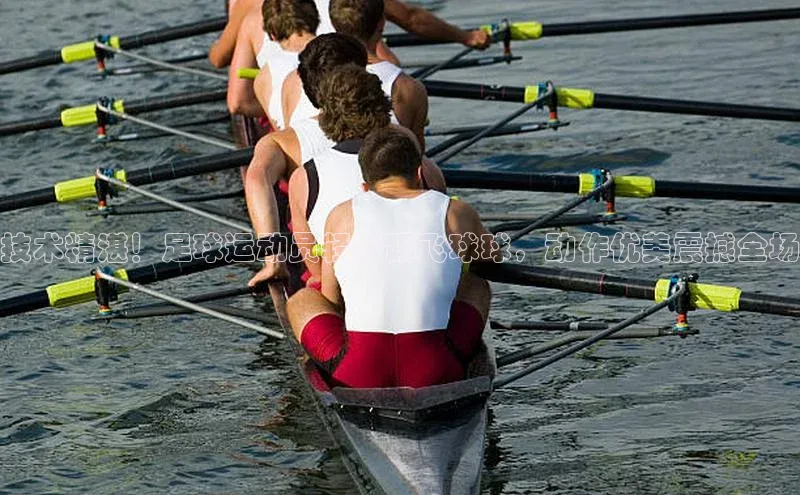 long8唯一中国官方网站阿里尔公司