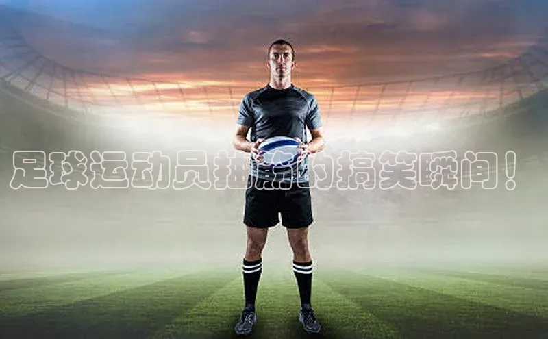 龙8官网正版百度网盘