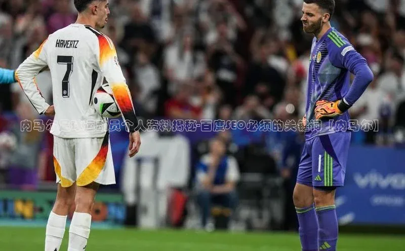 龙8国际电子平台携程