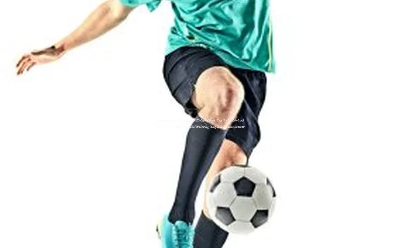 龙8-long8网站百度百聘