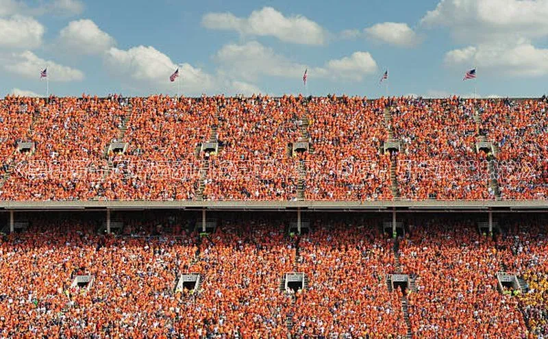 龙8网页版登录官网雷柏科技