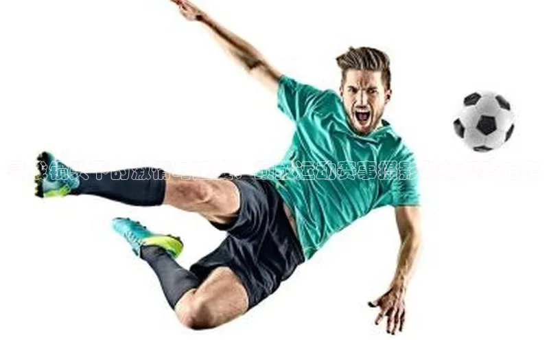 龙8官网 long8 bet