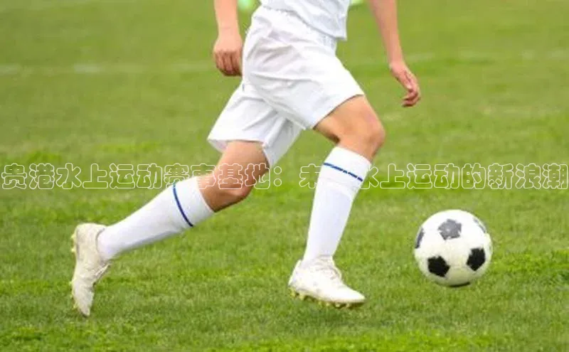 龙8网上娱乐平台