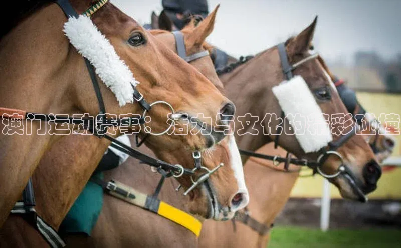 龙8中国官网唯一入口