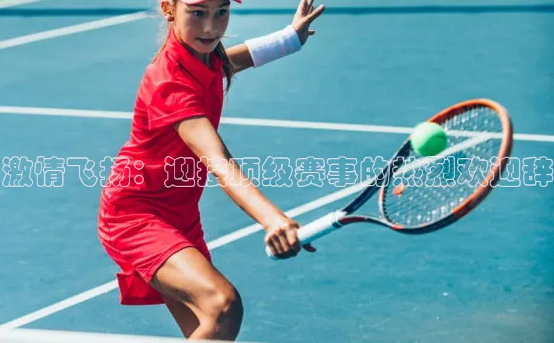 头玩官网登录入口