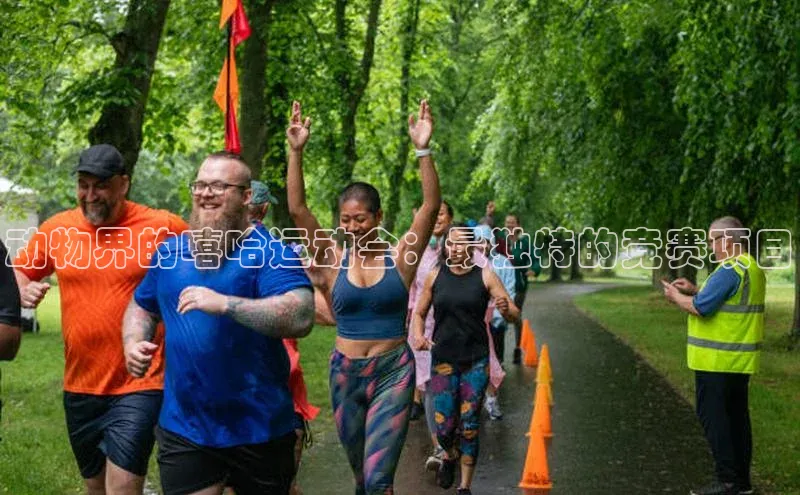 头玩官网登录入口