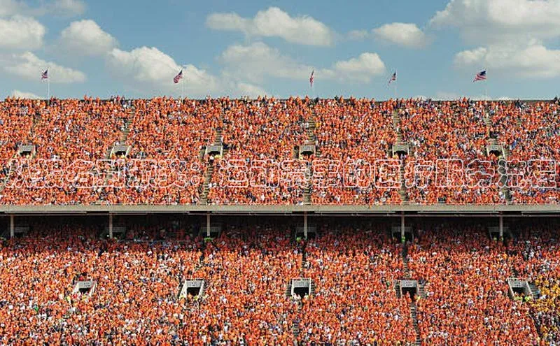 龙8唯一官方网站游戏