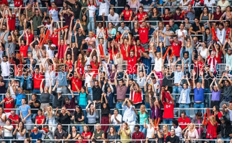 龙八国际app官方版