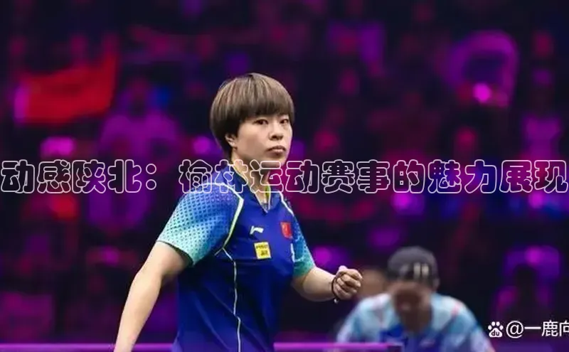 龙8网页版登录官网