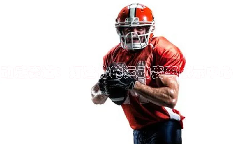 头玩官网登录入口