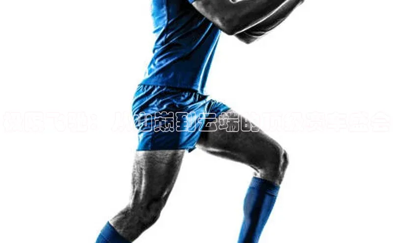 龙8long8手机登录