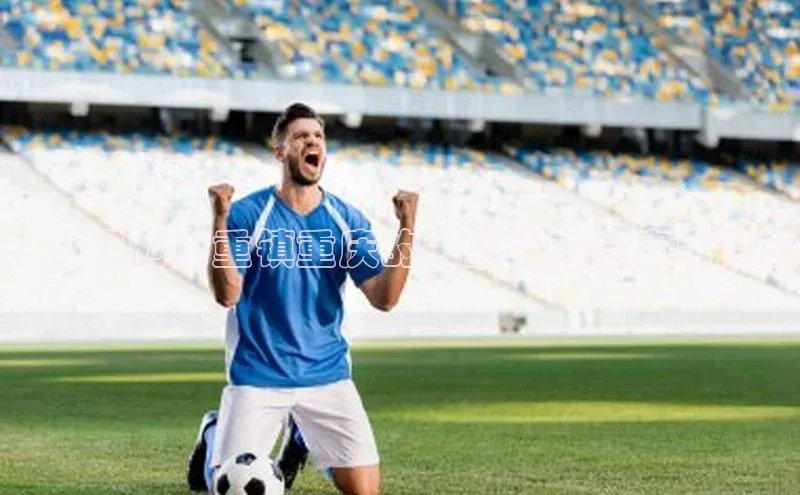 龙8官网在线试玩